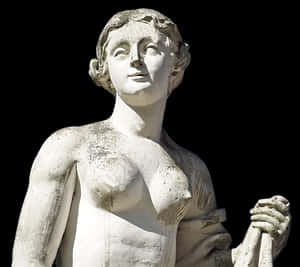 Classical Marble Statue Torso PNG image with transparent background