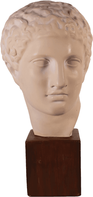Transparent Roman Bust Png - Bust, Png Download PNG with transparent background