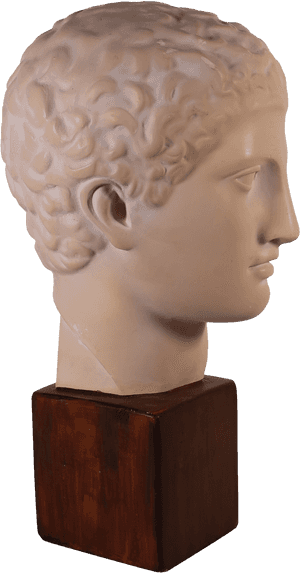 Plaster Bust Of Roman Male - Bust, HD Png Download PNG with transparent background