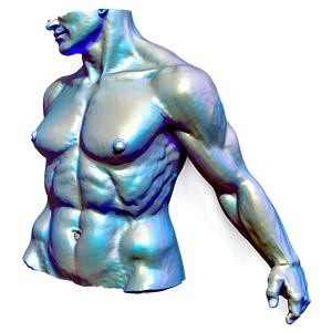 Classical Sculpture Torso Png 34 PNG Image