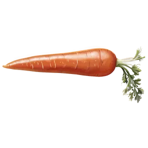 Clean Carrot Png 06132024 PNG Image
