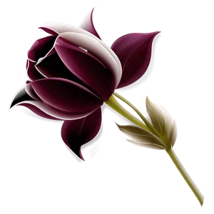 Clean Flower Graphic Png Bkt PNG Image