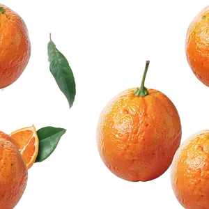 Clementine Citrus Fruit Png 06252024 PNG Image