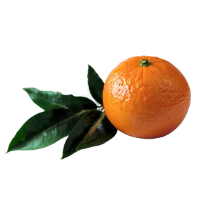 Clementine Half Cut Png 21 PNG Image