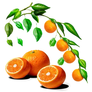 Clementine Harvest Scene Png 06252024 PNG Image