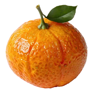 Clementine Slice Transparent Png Xpr4 PNG Image