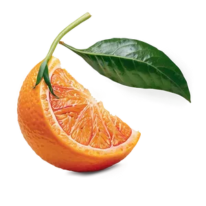 Clementine Zest Spiral Png 06252024 PNG Image