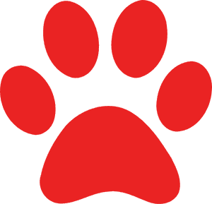 Paw Print Clip Art, HD Png Download PNG image with transparent background
