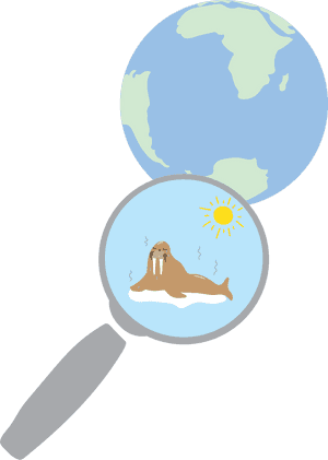 Earth, HD Png Download PNG image with transparent background