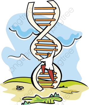 Climbing_ D N A_ Structure PNG with transparent background