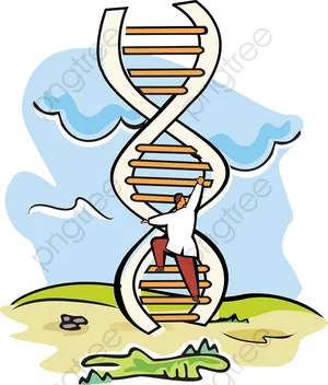 Climbing_ D N A_ Structure PNG Image