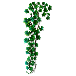 Climbing Ivy Vine PNG eqq19 PNG