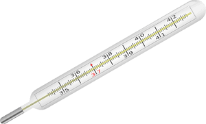Clinical Thermometer, Fever, Thermometer, Clinic - Thermometer Diagram Without Background, HD Png Download PNG with transparent background