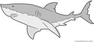 Clip Art Royalty Free Download Grey Shark Clipartblack - Animal Clip Art Shark PNG image with transparent background