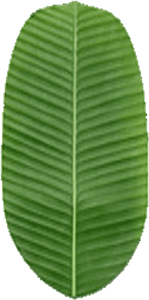 Clip Art Seamless Www Tutorialsforblender D - Goodyear Ultragrip 600 185 60 R15 88t, HD Png Download PNG image with transparent background