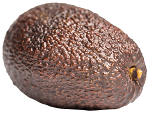 Close Up Avocado Skin Texture PNG image with transparent background