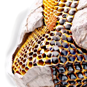 Close-up Beehive Detail Png 43 PNG Image