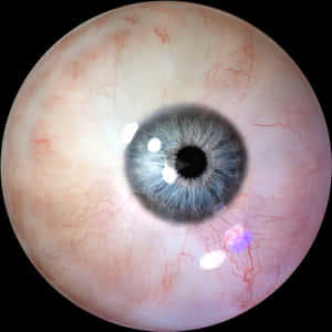 Close Up Human Eye Detail PNG image with transparent background