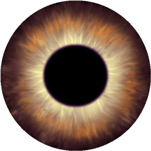 642 Iris Overlay By Tigers-st - Iris Overlay, HD Png Download PNG with transparent background