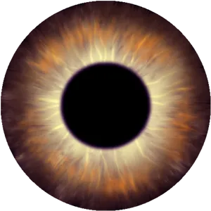 Close Up Human Iris Texture PNG Image