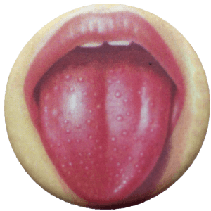Tongue, HD Png Download PNG image with transparent background