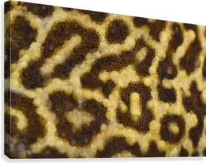 Close Up Leopard Skin Pattern PNG Image