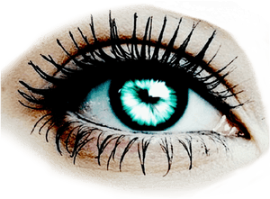 Closeup Blue Eye Makeup PNG image with transparent background