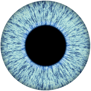 Eye Iris Isolated - Blue Eye Iris Transparent, HD Png Download PNG with transparent background