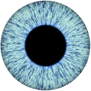 Closeup Blue Human Iris PNG Image