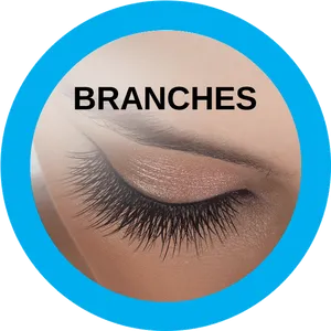 Closeup Eye With Long Lashes PNG Image