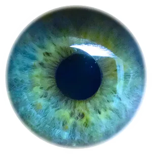 Closeup Human Eye Detail PNG Image