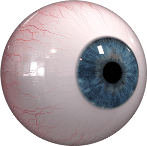 Closeup Human Eye Detail PNG image with transparent background