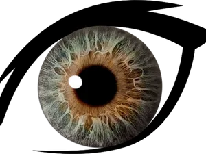 Closeup Human Eye Iris Texture PNG Image