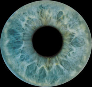 Closeup Human Iris Texture PNG image with transparent background