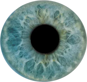 Closeup Human Iris Texture PNG Image