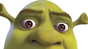 Closeupof Shrek Face PNG Image