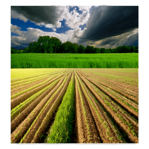 Cloudy Sky Over Fields PNG 06252024 PNG with transparent background