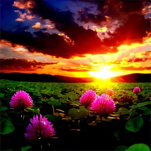 Clover Field Sunset Png 15 PNG Image