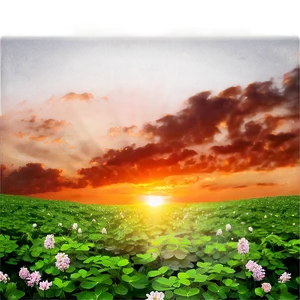 Clover Field Sunset Png Fiu PNG Image