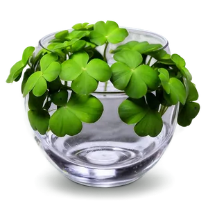 Clover In Glass Png Gmt PNG Image