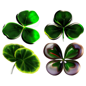 Clover Leaf Icon PNG 22 PNG