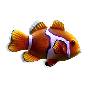 Clown Fish Transparent Png 05262024 PNG Image