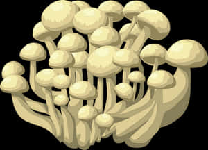 Clustered Mushrooms Illustration PNG with transparent background
