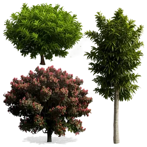 Coastal Defense Shrubs Png 39 PNG Image