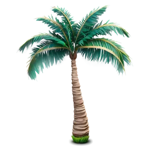 Coastal Palm Tree Shape Png Pkf90 PNG Image