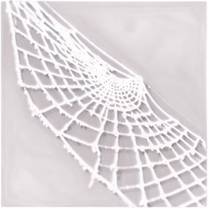 Cobweb Detail Closeup Png Abo PNG Image