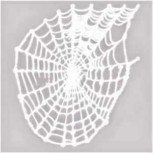 Cobweb Pattern Png 30 PNG Image