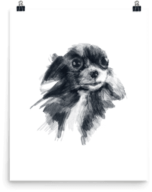 Cocker Spaniel, HD Png Download PNG image with transparent background