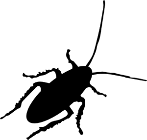 Cockroach Silhouette PNG