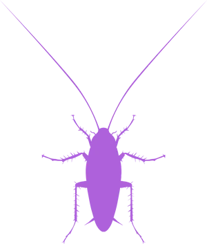 Cockroach Silhouette Graphic PNG Image